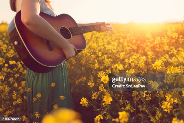 music of the summer magic - akustisk gitarr bildbanksfoton och bilder