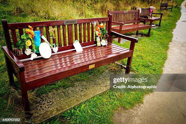 memorial seats - st marys island stock pictures, royalty-free photos & images