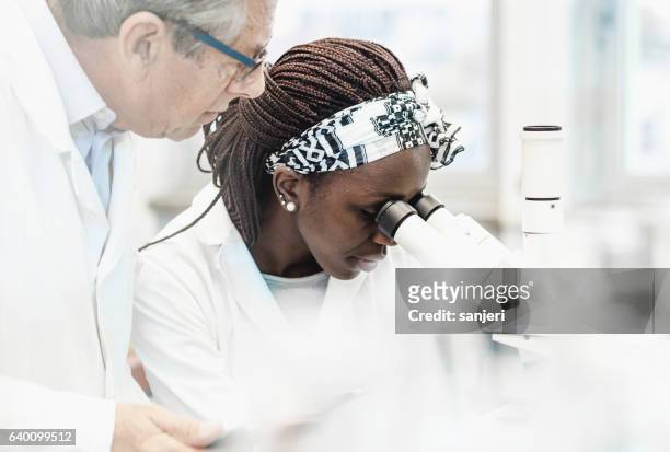 science laboratory - precision oncology stock pictures, royalty-free photos & images