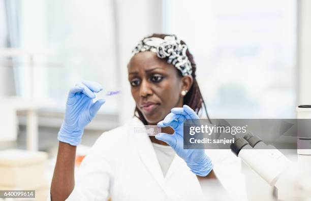 scientist looking at a microscope slide - precision oncology stock pictures, royalty-free photos & images