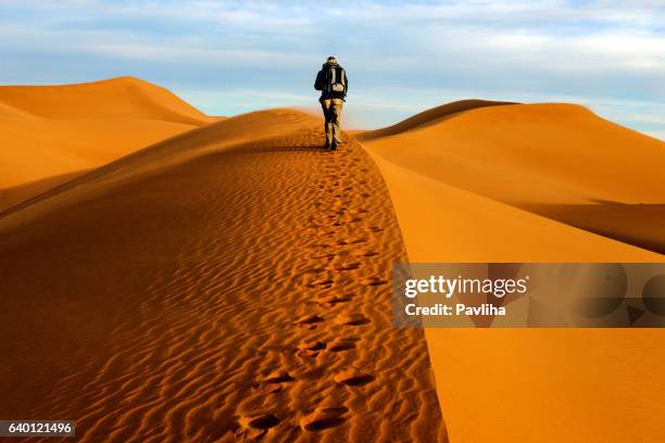 male tourists walking on the sand dunes, morning, mhamid, morocco - merzouga stockfoto's en -beelden