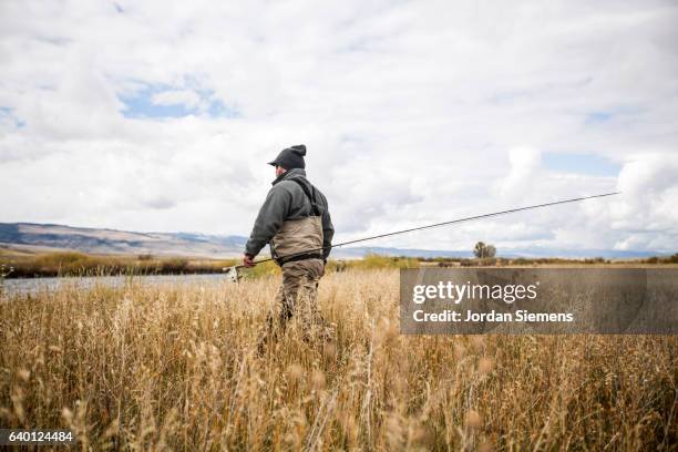 a man fly fishing on a river. - madison river stock pictures, royalty-free photos & images