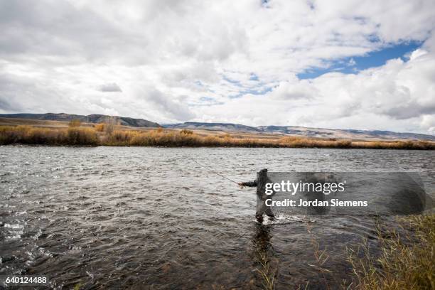 a man fly fishing on a river. - wading boots stock pictures, royalty-free photos & images