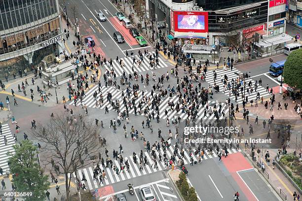 aerial view shibuya crossing, tokyo, japan - shibuya crossing photos et images de collection