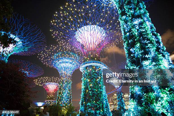 super tree grove in gardens by the bay at night - gardens by the bay stock pictures, royalty-free photos & images