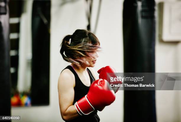 female kickboxer working out in fighting gym - female boxer stock-fotos und bilder