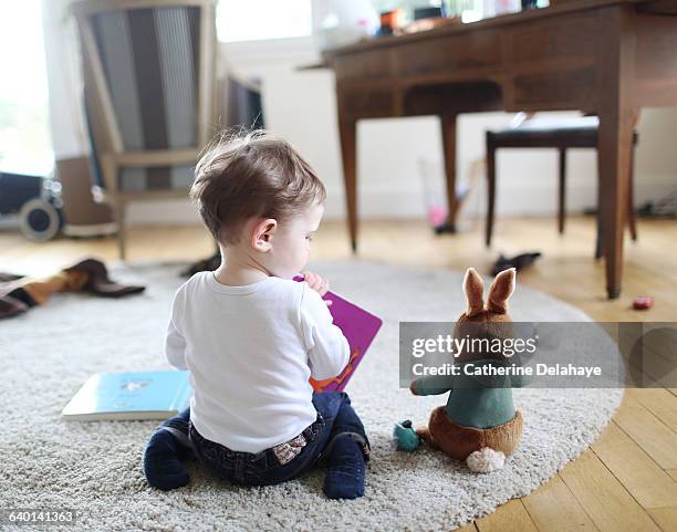 a boy reading a book to his rabbit - animal back bildbanksfoton och bilder