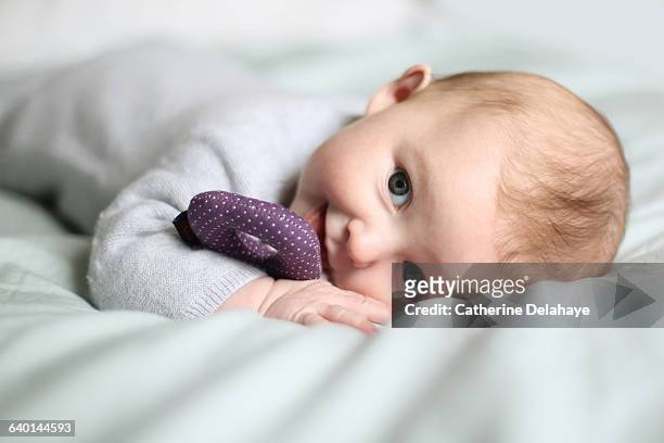 a 5 month old baby girl smiling - weibliches baby stock-fotos und bilder