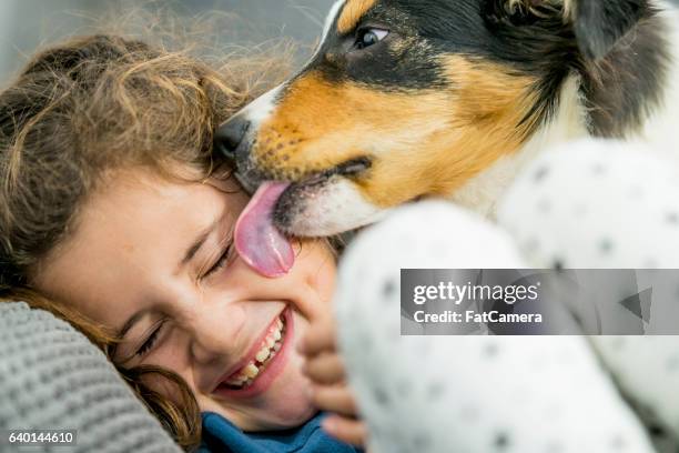 little girl laughing at her dog - girls licking girls stockfoto's en -beelden