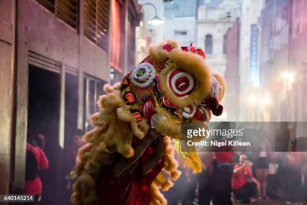 chinese new year - melbourne festival stock-fotos und bilder