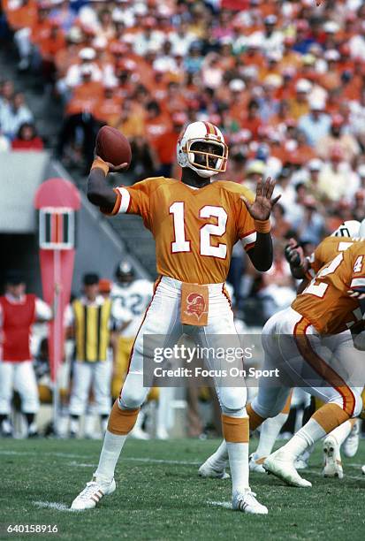 Quarterback Doug Williams of the Tampa Bay Buccaneers drops back to pass against the Pittsburgh Steelers during an NFL football game November 9, 1980...