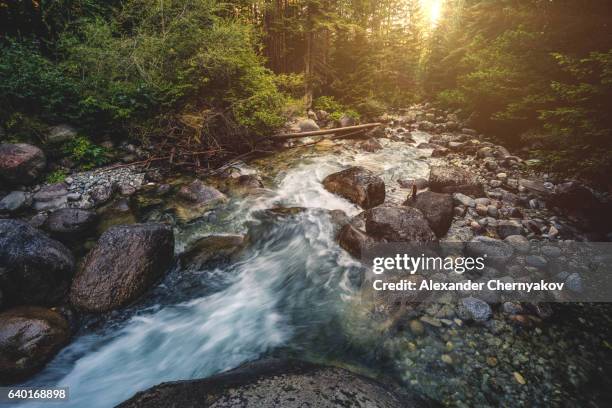 Alexander Stream Photos and Premium High Res Pictures - Getty Images