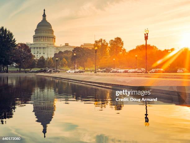 capitol building and reflecting pool in washington d.c, usa at sunrise - the mall foto e immagini stock