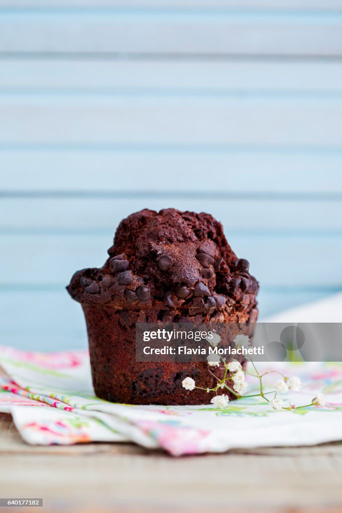Chocolate chip muffin
