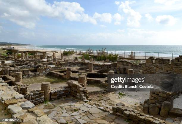 roman ruins in baelo claudia - baelo claudia stock-fotos und bilder