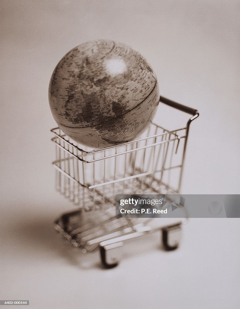 Globe in Shopping Cart