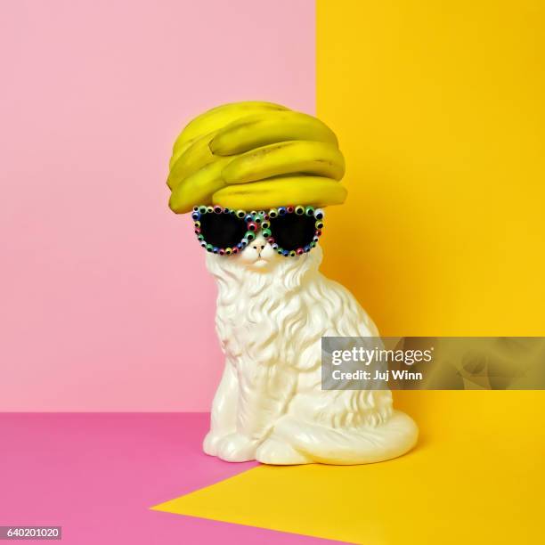 cat wearing sunglasses and banana wig/hat - cat food stock-fotos und bilder