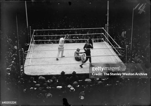 In a 12 round no decision fight Harry Wills knocks Luis Firpo down in the 2nd round from a hard right to the jaw at Boyle's Thirty Acres, Jersey...