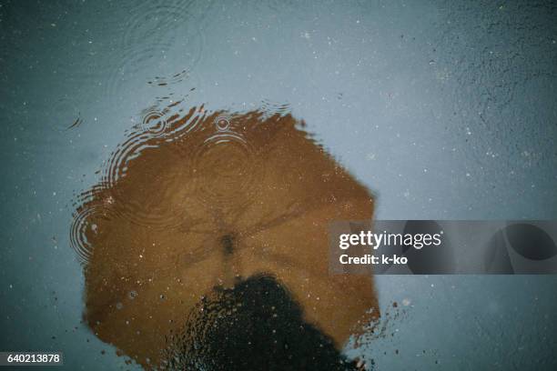 raining - paraguas fotografías e imágenes de stock