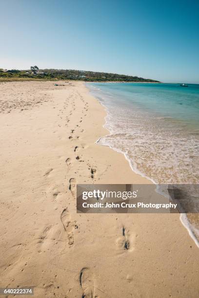 eagle bay dunsborough - footprints on beach australia stock-fotos und bilder