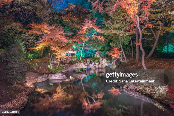 beautiful autumn japanese garden at night (rikugien-garden) - jardín japonés fotografías e imágenes de stock
