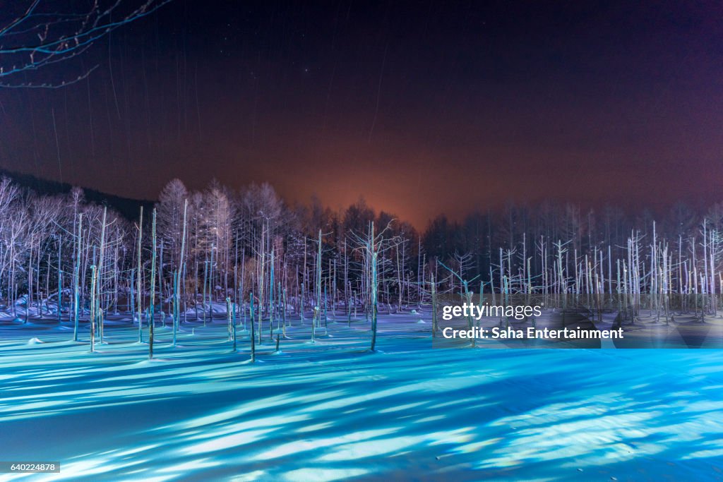 Shirogane blue pond light up in the winter