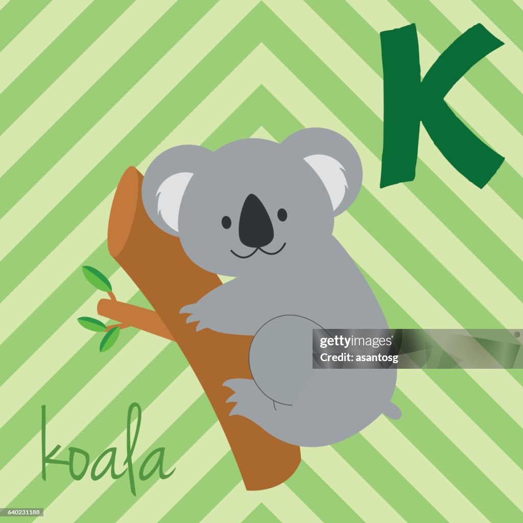 Cartoon Zoo Alphabet With Animals Spanish Name K For Koala High-Res Vector  Graphic - Getty Images