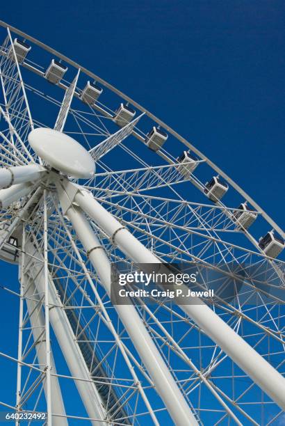 wheel of brisbane on a clear day - brisbane wheel stock pictures, royalty-free photos & images