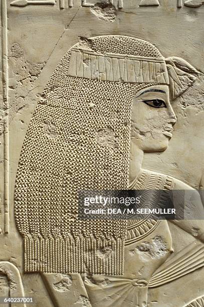 Ramose's wife, detail, relief of the Hypostyle hall, Tomb of city governor and vizier Ramose, necropolis of Sheikh 'Abd al-Qurna, ancient Thebes ,...