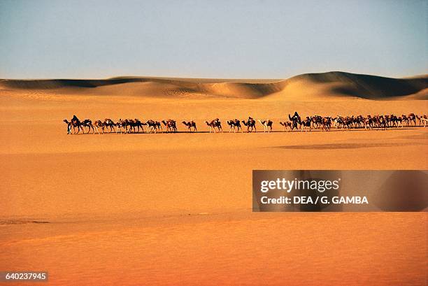 Taghlamt, salt caravan route transporting salt from Bilma in Agadez, near the Fachi oasis, Tenere desert, Air and Tenere National Nature Reserve ,...