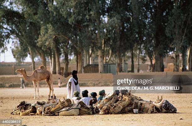 Tuareg camel driver, Tamanrasset, Ahaggar, Algeria.