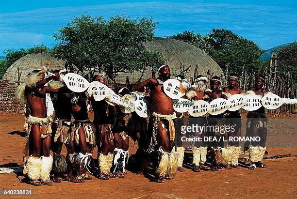 Zulu warriors during a Ngoma, traditional dance, Zulu village, KwaZulu-Natal, South Africa.