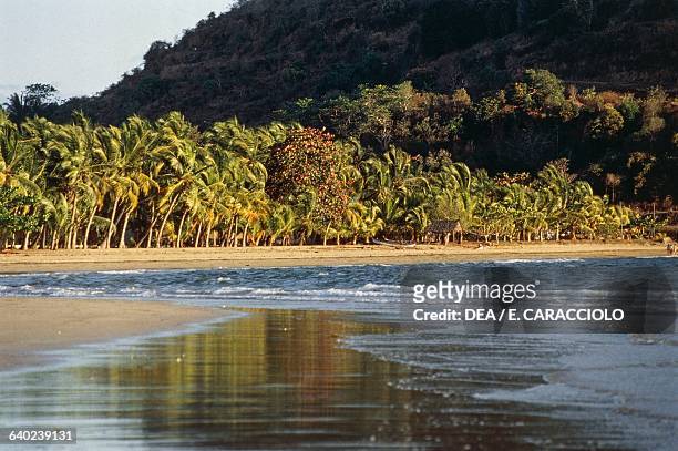 Beach with palm trees, Nosy Be island, Madagascar.