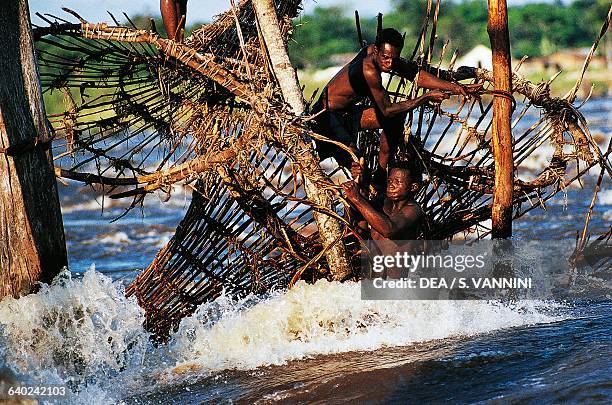 Fish In Congo Rdc Congo Tradition Photos and Premium High Res Pictures - Getty Images