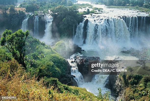 Blue Nile Falls near Bahar Dar, Ethiopia.