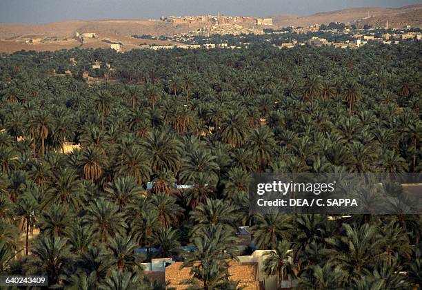 Ghardaia Province Photos and Premium High Res Pictures Getty Images