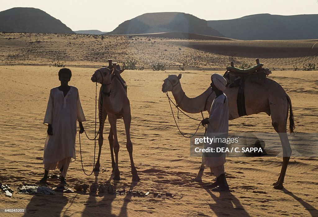 Two nomads with camels in desert near Meroe, Sudan