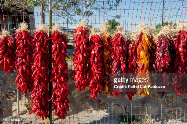 drying new mexico red chili at la cruces of new mexico state in usa - las cruces new mexico stock-fotos und bilder