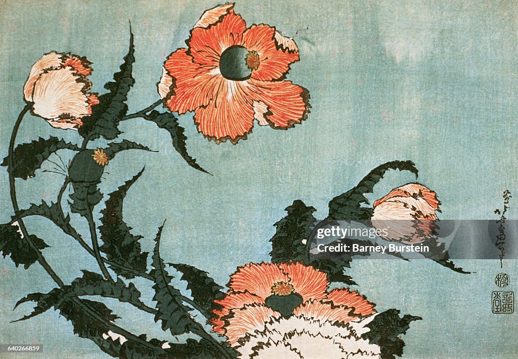 Poppies by Katsushika Hokusai
