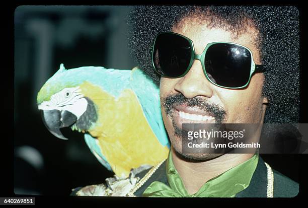 Soul artist Stevie Wonder is shown in a close-up photograph, with a parrot seated on his shoulder.