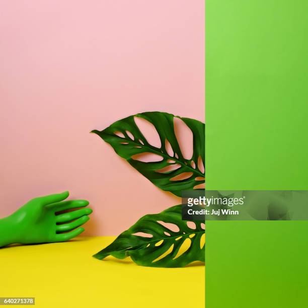 monstera leaves with hand and color block - color blocking stock pictures, royalty-free photos & images