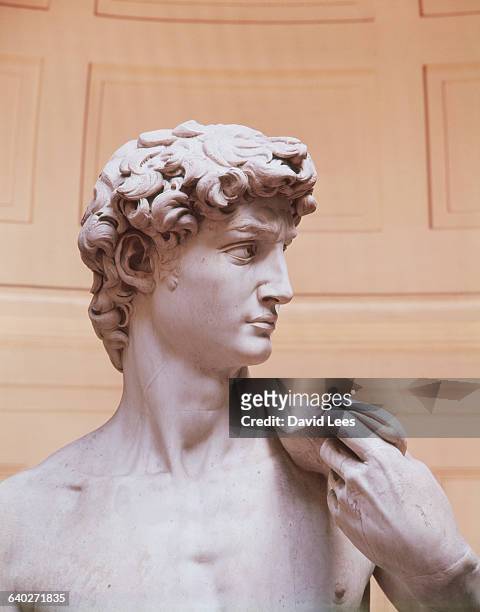 Detail Showing Head of David by Michelangelo