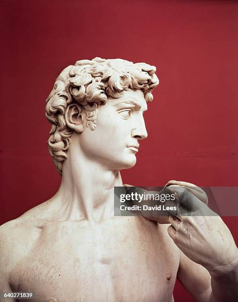 Detail Showing Head of David by Michelangelo