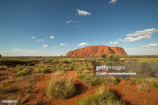 ayers rock or uluru, northern territory, australien - ayers rock stock-fotos und bilder