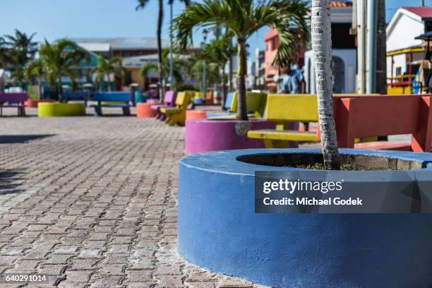 bright colored planters with palm trees in san pedro central park - san pedro stock-fotos und bilder