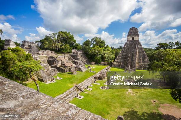 mayan ruins at tikal national park - oude ruïne stockfoto's en -beelden