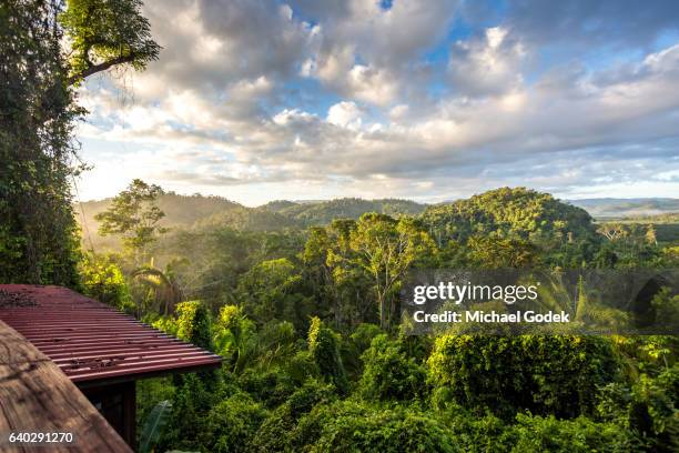 stunning landscape of mayan rainforest above the tree canopy with dramatic blue sky - canopy stock pictures, royalty-free photos & images