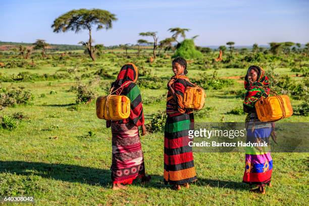 young african women carrying water from the well, ethiopia, africa - ethiopia bildbanksfoton och bilder