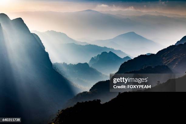 doi luang chaing dao - mountain mist photos et images de collection