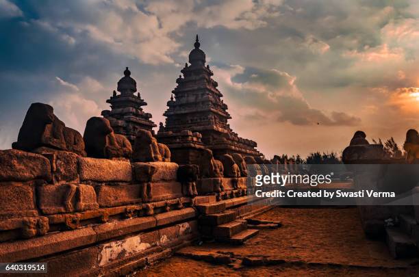 shore temple - pondicherry stock pictures, royalty-free photos & images